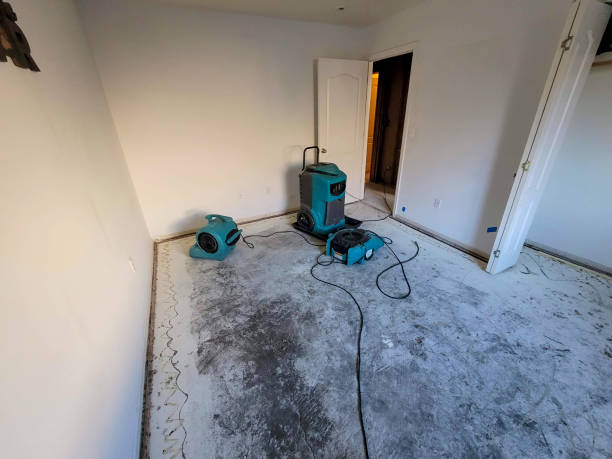 Sewage cleanup and water damage restoration in SC