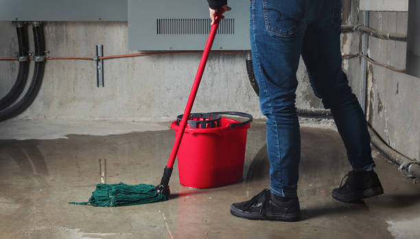 Best Flooded house restoration  in Mount Pleasant, SC