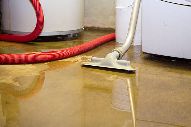  Mount Pleasant, SC Water damage restoration Pros