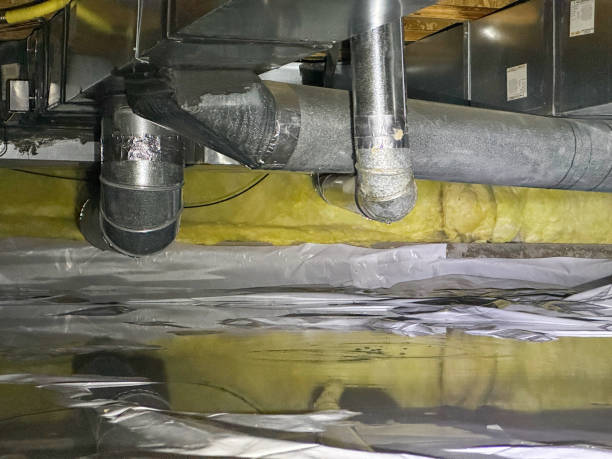 Best Mold removal after water damage  in Mount Pleasant, SC