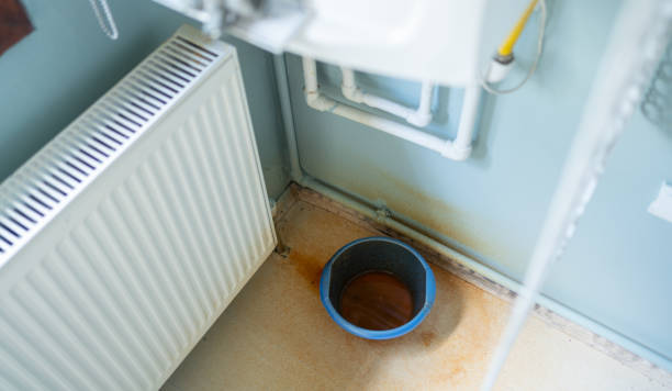 Best Local water damage restoration  in Mount Pleasant, SC