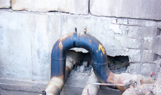 Best Carpet water damage restoration  in Mount Pleasant, SC