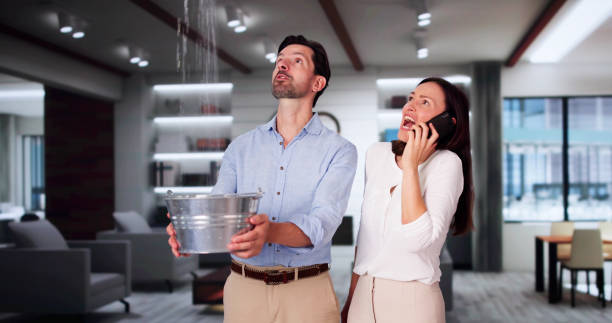 Best Professional water damage repair  in Mount Pleasant, SC