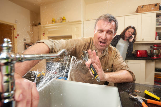 Best Local water damage restoration  in Mount Pleasant, SC